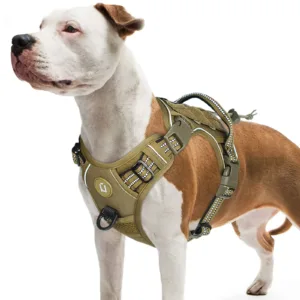 Adjustable MOLLE Vest for Medium & Large Dogs