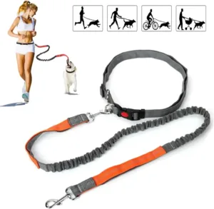 Adjustable Retractable Dog Leash Multi-functional Sports Traction Rope Hands-free Running Reflective Bungee Design
