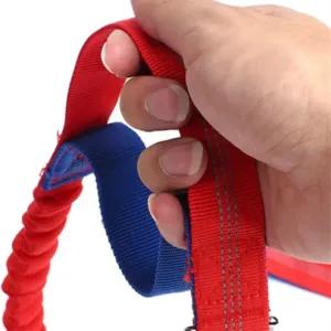 Adjustable Retractable Dog Leash Multi-functional Bungee Design